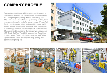 Chine Foshan Sampo Lighting &amp; Electrical Co., Ltd.