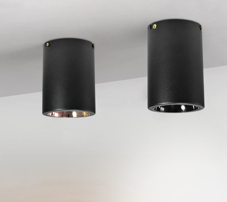 Le commutateur de bouton le plafond qu'extérieur a monté 2700K E27/épi a mené Downlight