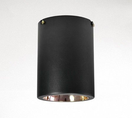 Le commutateur de bouton le plafond qu'extérieur a monté 2700K E27/épi a mené Downlight