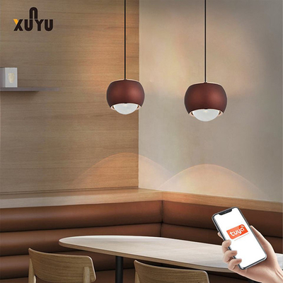 Appareils d'éclairage pendants de sphère de la lumière 8W 6000K de pendant de XUNYU LED