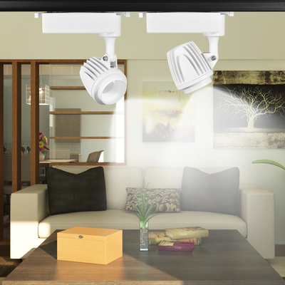 Lumière montée extérieure commerciale de voie de magasin d'habillement pour l'épi à la maison