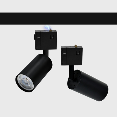 projecteur magnétique de la lumière Gu5.3 de rail de la voie 12W pour le salon