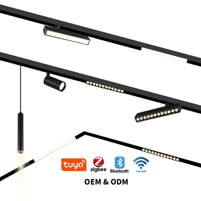 Intellectuel 220V haute tension Lumière linéaire de crue LED Lumière magnétique de salon