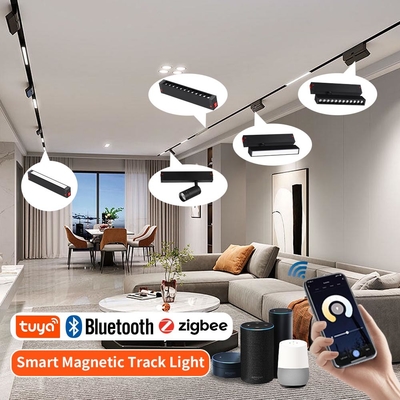 Chambre de séjour ménage pas de lumière principale en gros projecteur magnétique à LED